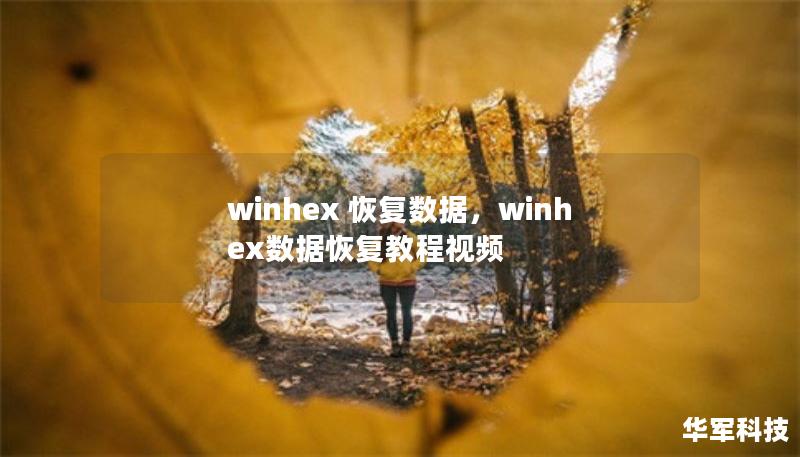 winhex 恢复数据，winhex数据恢复教程视频