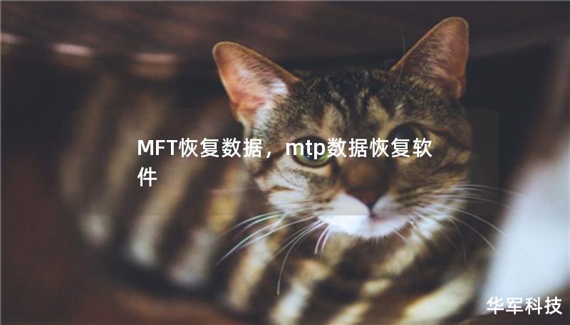 在日常工作和生活中，数据丢失问题时有发生，而MFT（主文件表）恢复数据技术作为数据恢复的重要手段，已经帮助无数用户解决了数据丢失的烦恼。本文将详细介绍MFT数据恢复技术的原理、优势以及如何在实际操作中高效恢复数据。