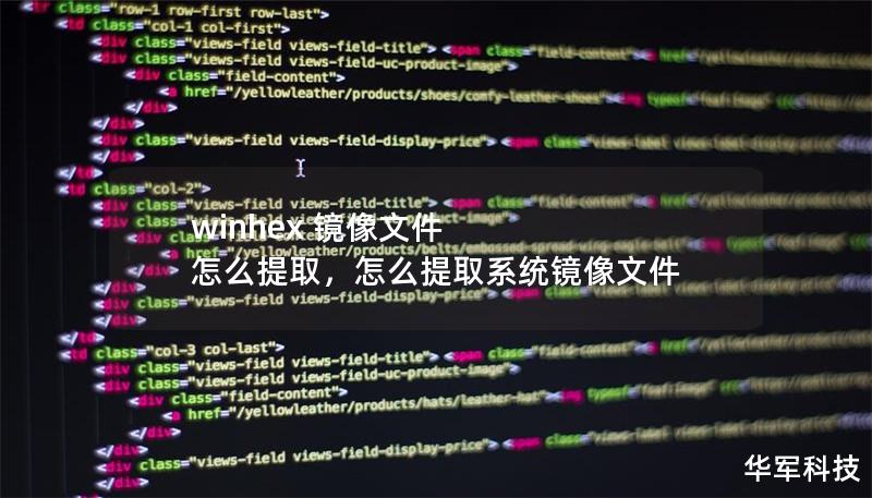 本文详细介绍了如何使用WinHex软件从镜像文件中提取数据的步骤。无论你是数据恢复爱好者，还是IT技术人员，这篇教程都能帮助你更好地理解并掌握WinHex的使用方法，快速从镜像文件中提取重要文件和数据。