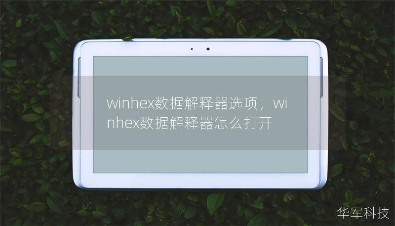 winhex数据解释器选项，winhex数据解释器怎么打开