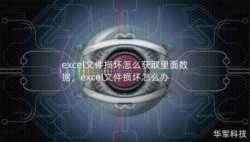 本文将详细介绍如何处理Excel文件损坏的问题，提供实用技巧和恢复工具，让你快速找回丢失的数据。