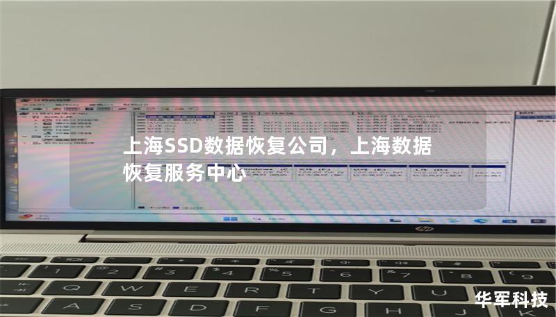 上海SSD数据恢复公司，提供专业的固态硬盘数据恢复服务，致力于为客户解决各类数据丢失问题，保障您的数据安全和完整性。