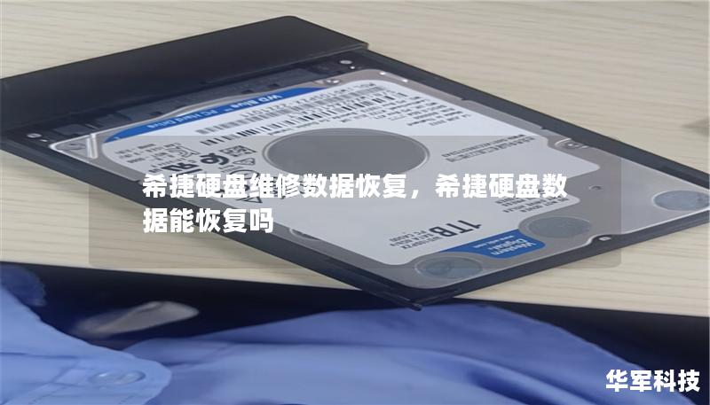 介绍希捷硬盘常见故障原因及其维修与数据恢复的专业解决方案，帮助用户了解如何在数据丢失的危机中挽救重要资料。