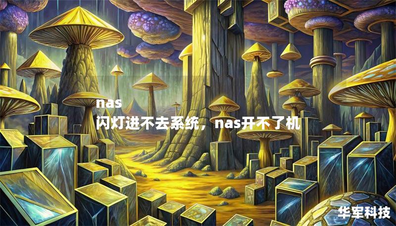 本文将深入探讨NAS闪灯但无法进入系统的常见原因，并提供实用解决方案，帮助您快速恢复数据存储功能。