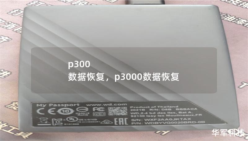 P300数据恢复是专注于数据恢复的专业服务，针对硬盘损坏、误删除、病毒攻击等情况提供快速、可靠的解决方案，帮助企业和个人轻松找回丢失的宝贵数据。