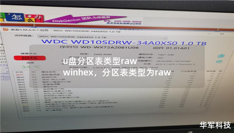 u盘分区表类型raw winhex，分区表类型为raw