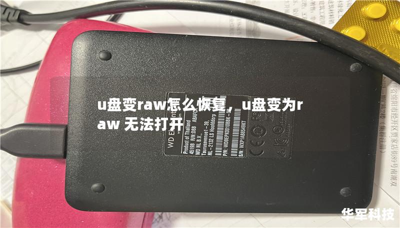 当U盘变成RAW格式时，数据似乎瞬间消失。这篇文章将详细介绍如何通过几种实用的方法来恢复U盘中的数据，帮助您解决数据丢失问题，重获重要文件。