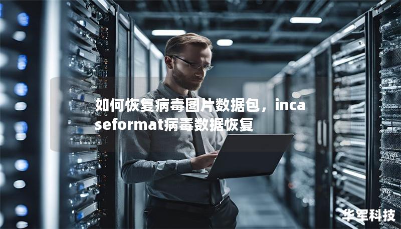 如何恢复病毒图片数据包，incaseformat病毒数据恢复