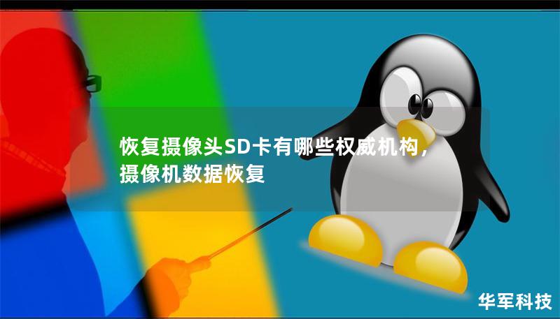 恢复摄像头SD卡有哪些权威机构，摄像机数据恢复