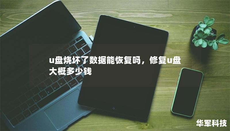 U盘烧坏后，数据还能恢复吗？本文将详细介绍U盘损坏的可能原因及数据恢复的有效方法，帮助您在面对U盘数据丢失时，找到最佳解决方案。