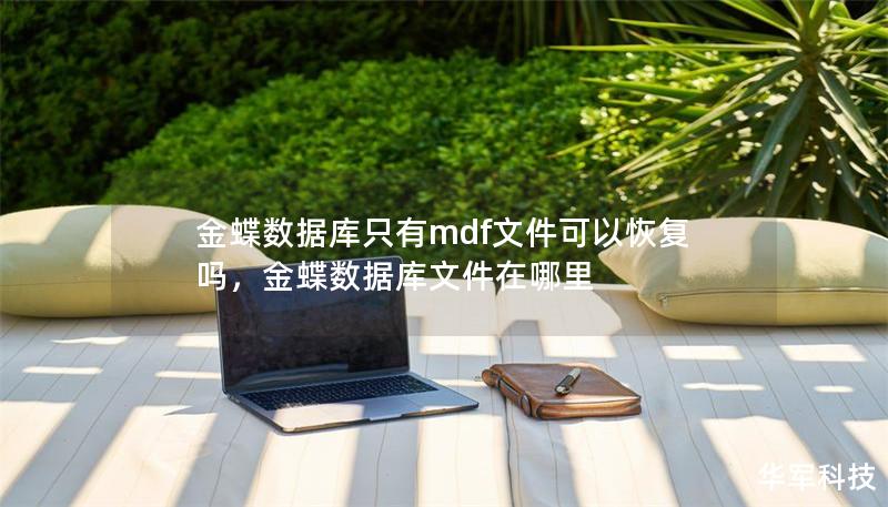 金蝶数据库只有mdf文件可以恢复吗，金蝶数据库文件在哪里