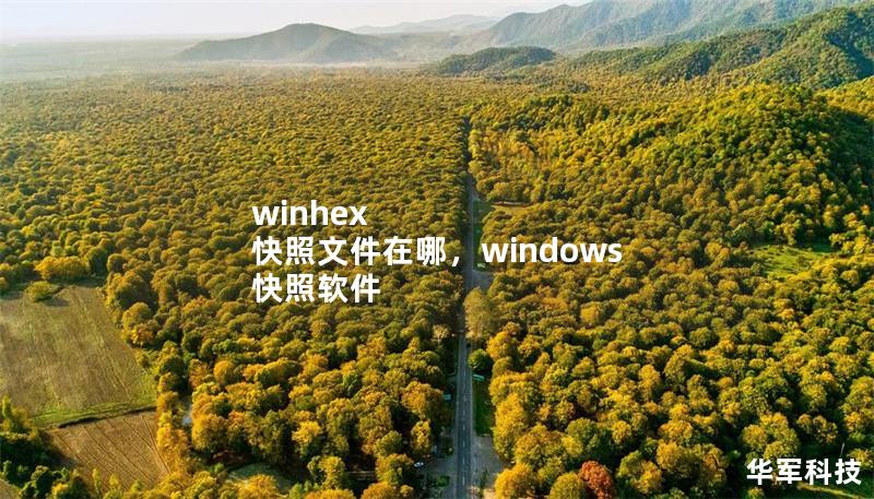 本文深入探讨WinHex快照文件的位置及其重要性，提供实用技巧，帮助用户更高效地管理和恢复数据。