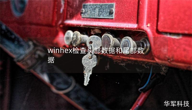 本文将详细介绍如何使用WinHex检查文件的头部数据和尾部数据，提供专业的解决方案和教程，帮助您更好地理解数据结构。