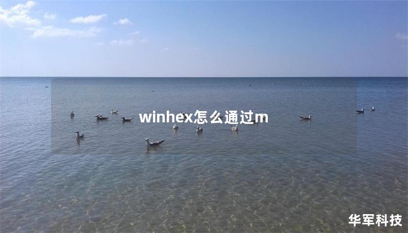 winhex怎么通过m