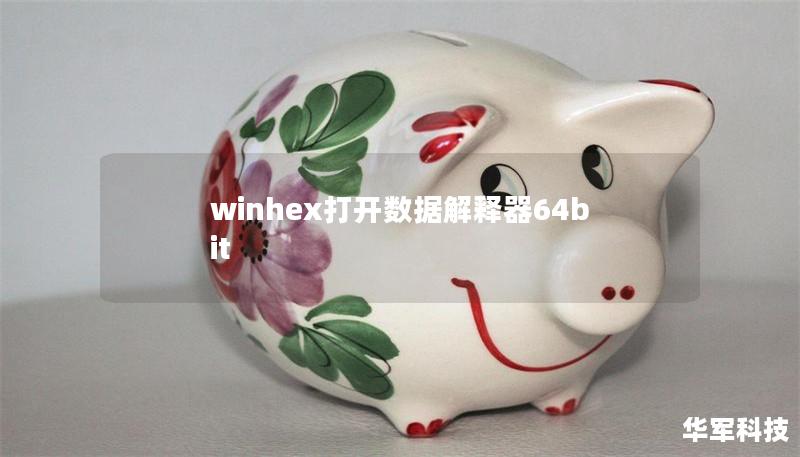 winhex打开数据解释器64bit winhex打开数据解释器64bit
