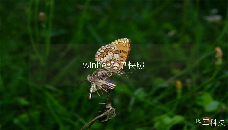 winhex磁盘快照