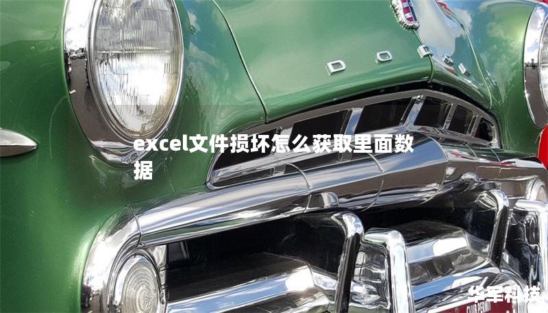 本文将详细介绍如何在Excel文件损坏的情况下获取里面的数据，提供有效的解决方案和专业的教程。