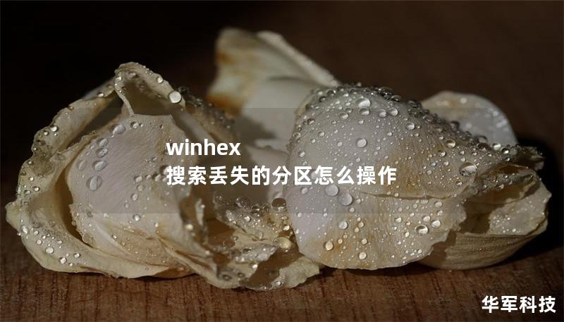 winhex 搜索丢失的分区怎么操作 winhex 搜索丢失的分区怎么操作