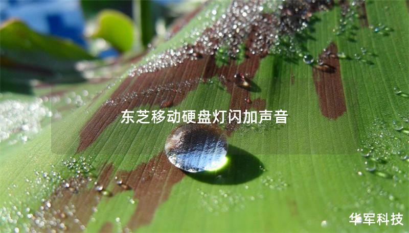 东芝移动硬盘灯闪加声音