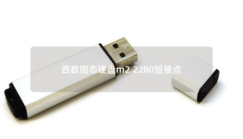 深入探讨西数固态硬盘M2 2280短接点的使用与维护，提供专业的解决方案与教程。