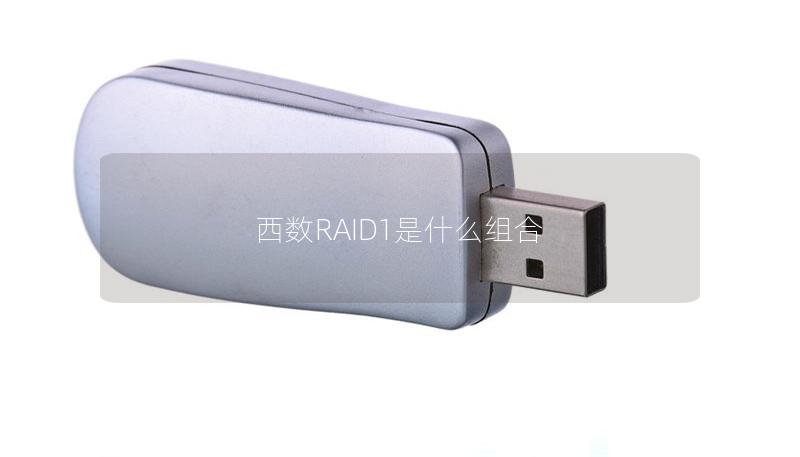 深入探讨西数RAID1是什么组合，提供专业解决方案与详细教程，帮助用户更好地理解RAID1的优势与应用。