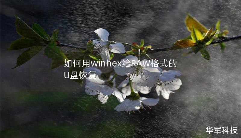 本文提供详细的步骤和专业的解决方案，教您如何用WinHex恢复RAW格式的U盘数据，确保您能够顺利找回丢失的文件。