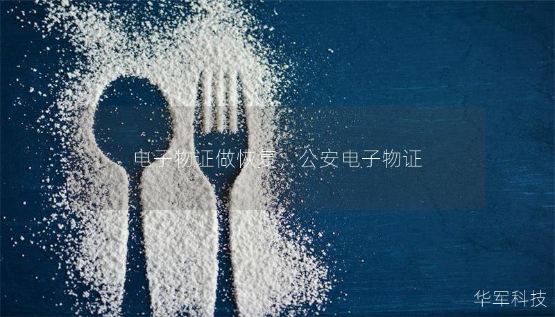 电子物证做恢复，公安电子物证