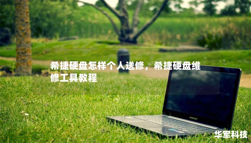 希捷硬盘怎样个人送修,希捷硬盘维修工具教程 希捷硬盘怎样个人送修,希捷硬盘维修工具教程