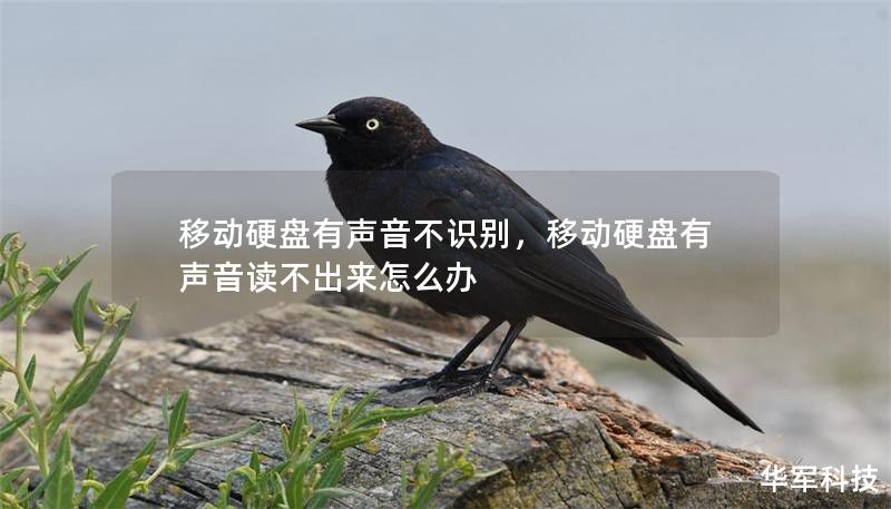 移动硬盘有声音不识别,移动硬盘有声音读不出来怎么办 移动硬盘有声音不识别,移动硬盘有声音读不出来怎么办