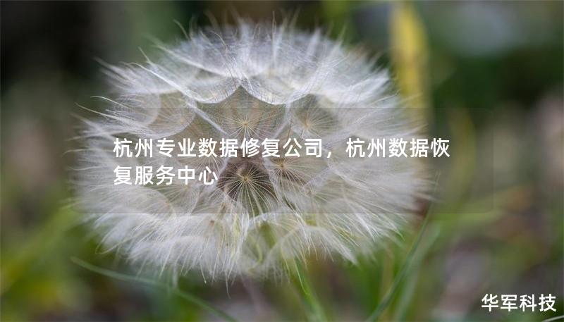 杭州专业数据修复公司,杭州数据恢复服务中心 杭州专业数据修复公司,杭州数据恢复服务中心