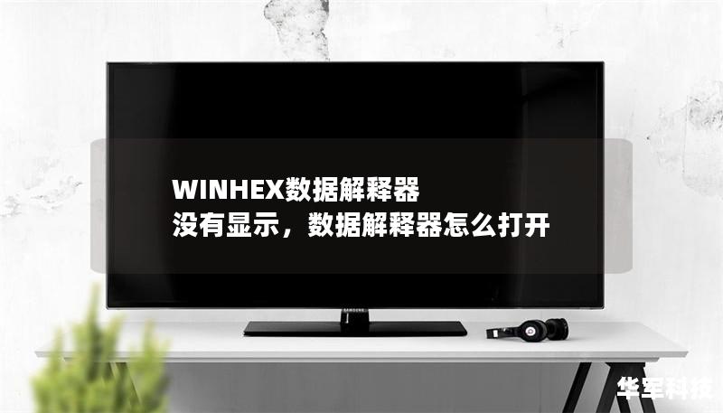 WINHEX数据解释器 没有显示,数据解释器怎么打开 WINHEX数据解释器 没有显示,数据解释器怎么打开