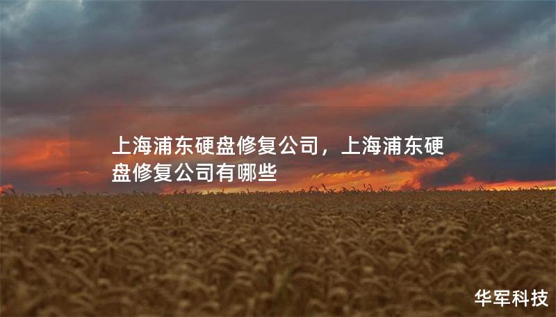 上海浦东硬盘修复公司,上海浦东硬盘修复公司有哪些 上海浦东硬盘修复公司,上海浦东硬盘修复公司有哪些