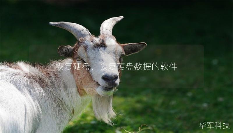 恢复硬盘,恢复硬盘数据的软件 恢复硬盘,恢复硬盘数据的软件