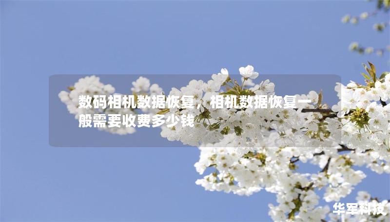 数码相机数据恢复,相机数据恢复一般需要收费多少钱 数码相机数据恢复,相机数据恢复一般需要收费多少钱