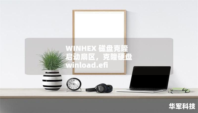 WINHEX 磁盘克隆 启动扇区,克隆硬盘 winload.efi WINHEX 磁盘克隆 启动扇区,克隆硬盘 winload.efi