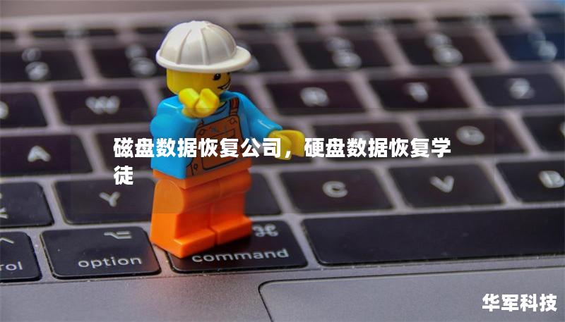 磁盘数据恢复公司,硬盘数据恢复学徒 磁盘数据恢复公司,硬盘数据恢复学徒
