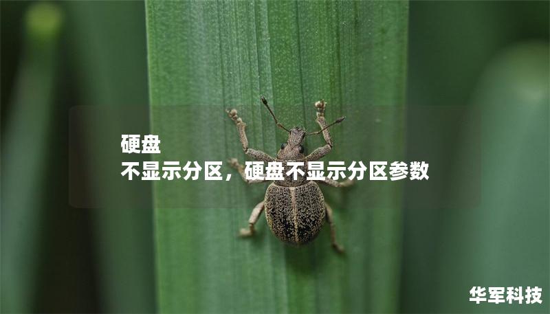 硬盘 不显示分区,硬盘不显示分区参数 硬盘 不显示分区,硬盘不显示分区参数