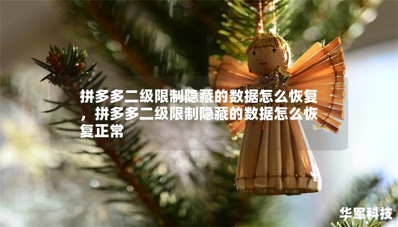 拼多多二级限制隐藏的数据怎么恢复,拼多多二级限制隐藏的数据怎么恢复正常 拼多多二级限制隐藏的数据怎么恢复,拼多多二级限制隐藏的数据怎么恢复正常