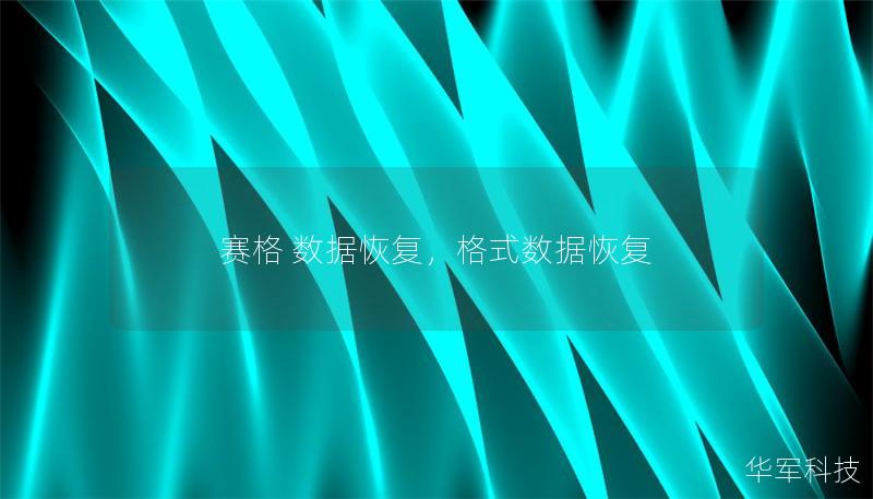 赛格 数据恢复,格式数据恢复 赛格 数据恢复,格式数据恢复