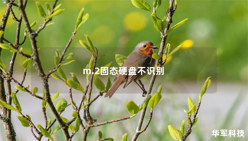 m.2固态硬盘不识别 m.2固态硬盘不识别