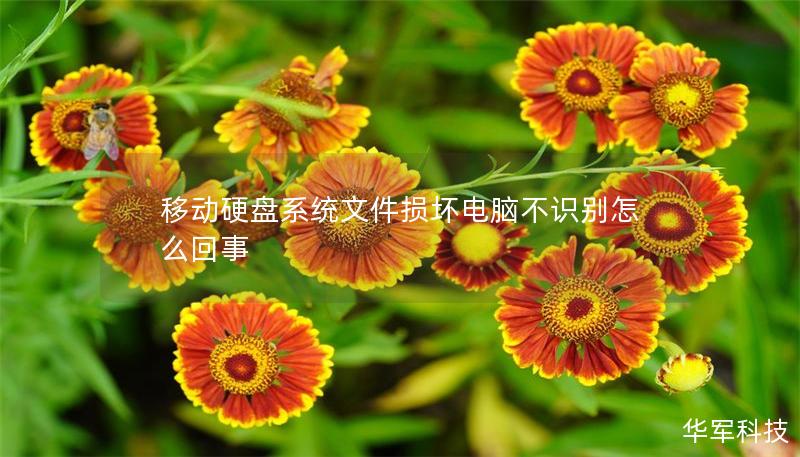 移动硬盘系统文件损坏电脑不识别怎么回事 移动硬盘系统文件损坏电脑不识别怎么回事