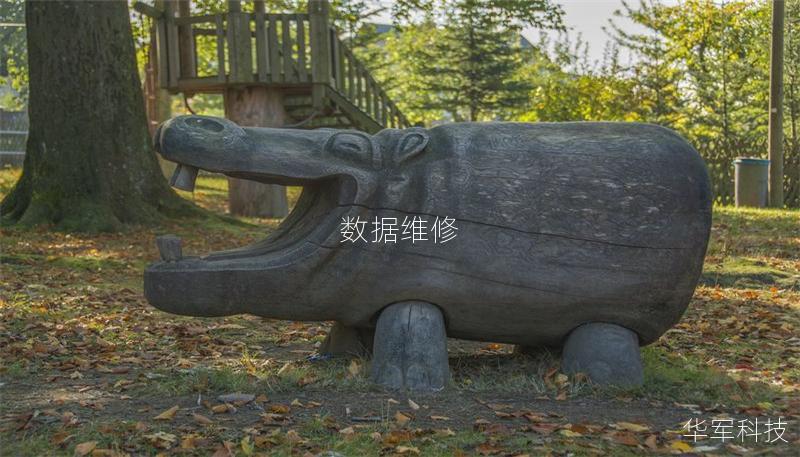 数据维修 数据维修