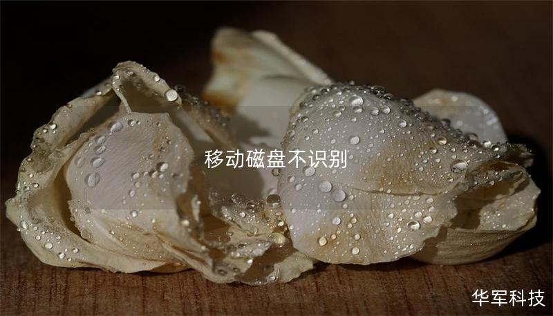 移动磁盘不识别 移动磁盘不识别