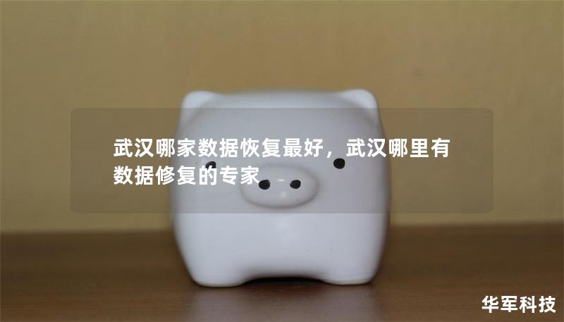 武汉哪家数据恢复最好,武汉哪里有数据修复的专家 武汉哪家数据恢复最好,武汉哪里有数据修复的专家