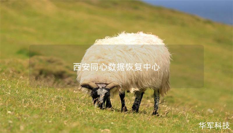 西安同心数据恢复中心 西安同心数据恢复中心