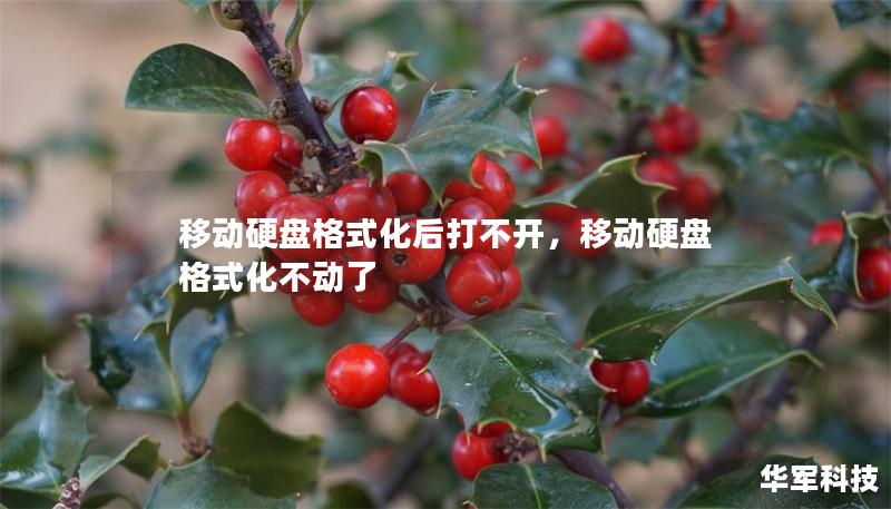 移动硬盘格式化后打不开,移动硬盘格式化不动了 移动硬盘格式化后打不开,移动硬盘格式化不动了