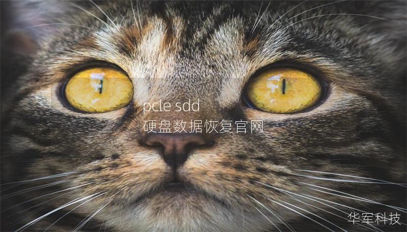 pcle sdd 硬盘数据恢复官网 pcle sdd 硬盘数据恢复官网