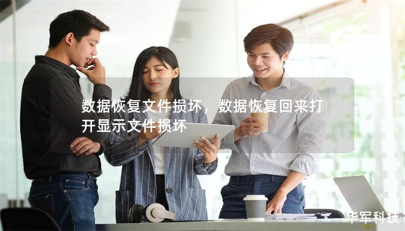 数据恢复文件损坏,数据恢复回来打开显示文件损坏 数据恢复文件损坏,数据恢复回来打开显示文件损坏