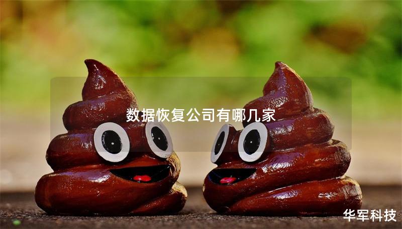 数据恢复公司有哪几家 数据恢复公司有哪几家