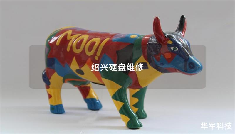 绍兴硬盘维修 绍兴硬盘维修